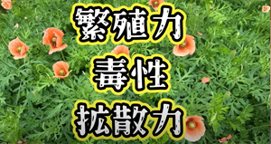 iK~qiQV=G